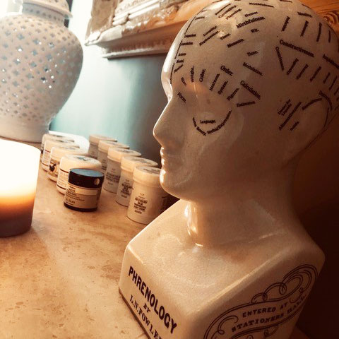 Phrenology Head